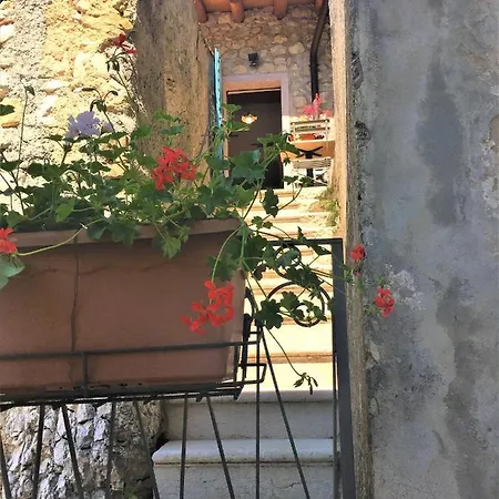 Il Girasole *