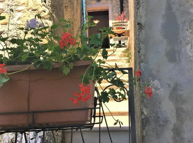 Il Girasole *